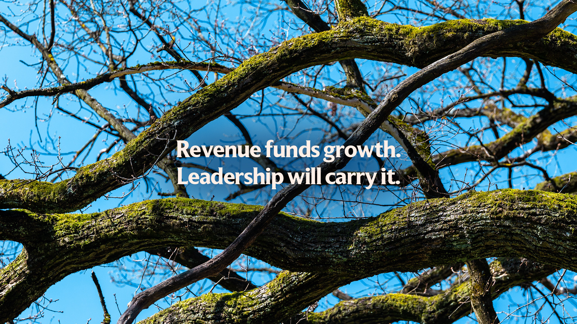 More Revenue Won’t Save Your Business